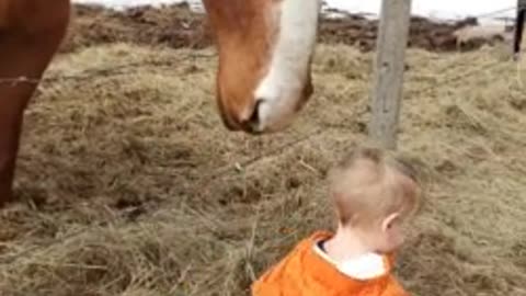 Little boy shares bond with horse