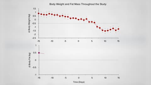 Keto diet theory put to the test!