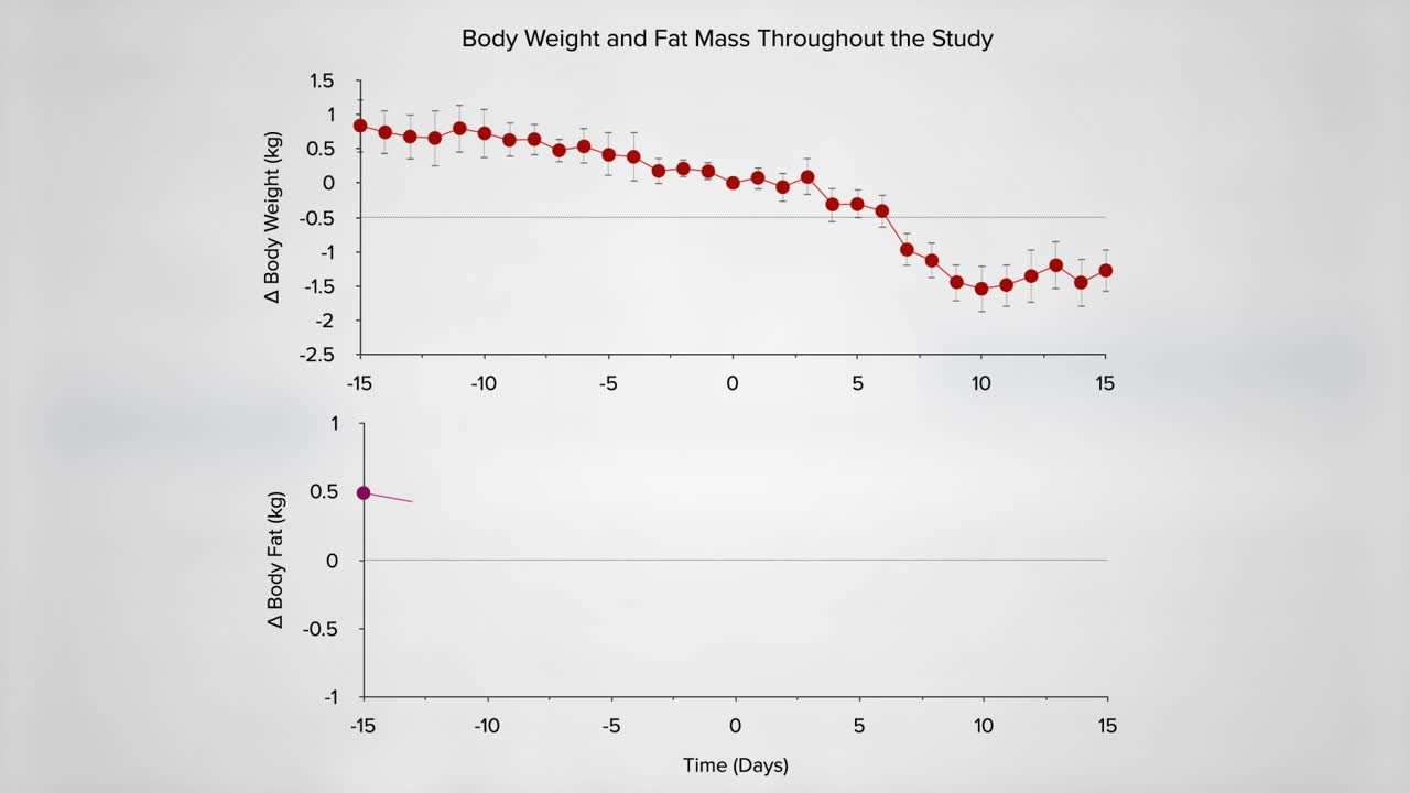 Keto diet theory put to the test!