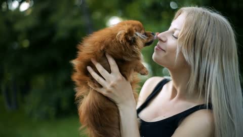 Young sexy blond woman with very long flowing hair plays with dog of Pomeranian spitz breed