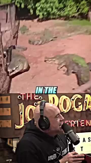 Joe Rogan s FAVORITE Pet 🐊