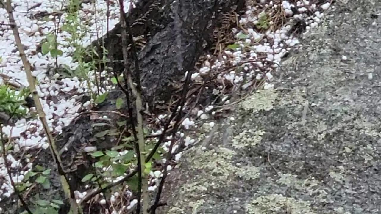 HailStorm ConiferMountain