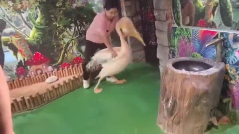 Get It Out!