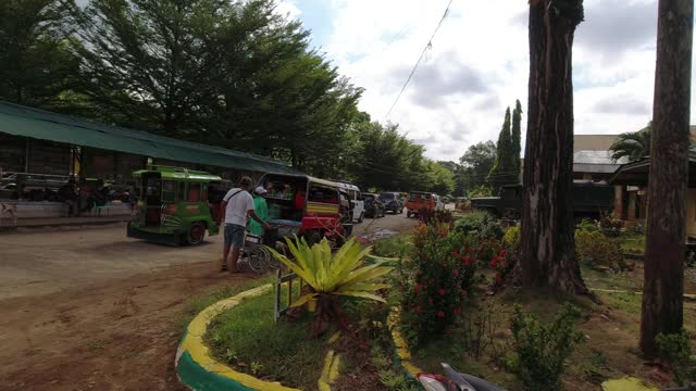 NIEL GETS HIS SHEEPLE SHOT