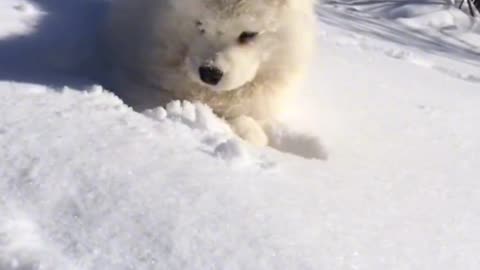 One of your favorite people to see the snow matching hook