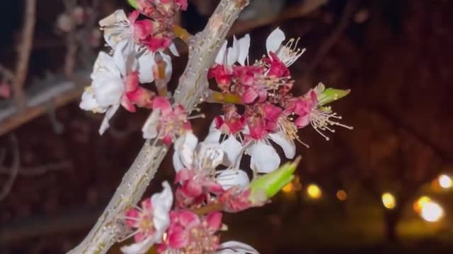 Even though it is a very pretty scene, the work, worry and s