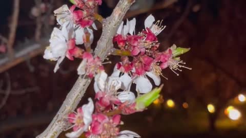 Even though it is a very pretty scene, the work, worry and s