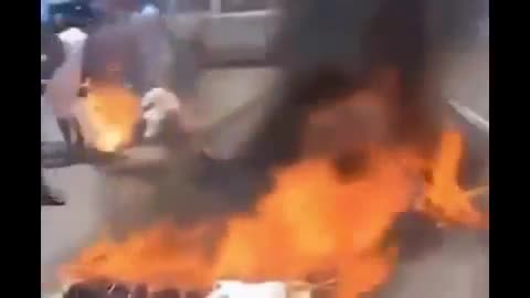 Best Fails