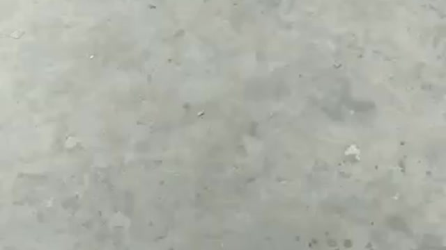 Scaring sleeping Dog