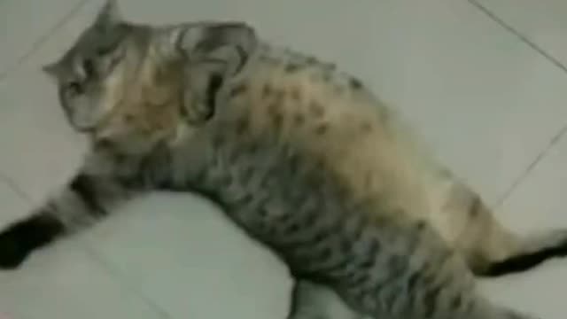 Relaxing cute baby pussy