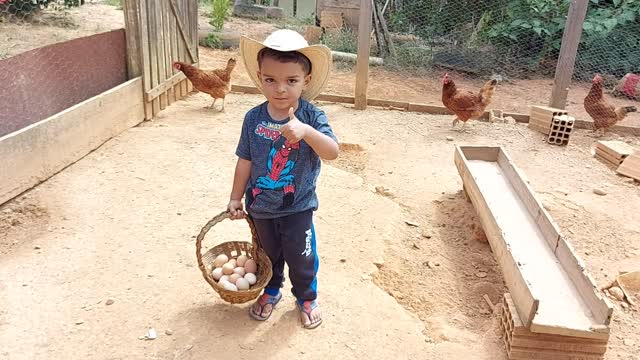 Miguel cuidando das galinhas na roça