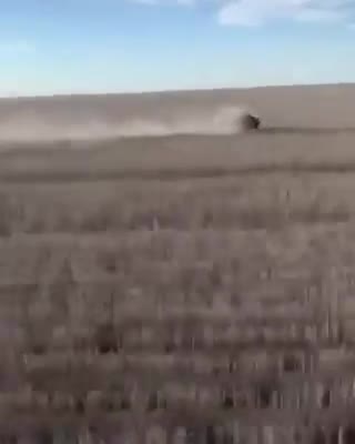 You Can't Believe The Hunting Dog's Speed in This Video