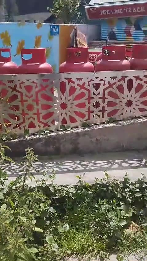 Pakistan Tour 2024-P-13