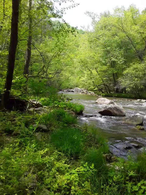 Nothing more beautiful than this!