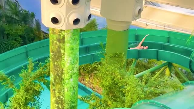 REALLY COOL WATER PARK WITH A TROPICAL JUNGLE THEME IN THE NETHERLANDS
