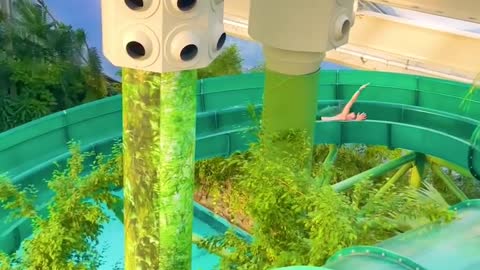REALLY COOL WATER PARK WITH A TROPICAL JUNGLE THEME IN THE NETHERLANDS
