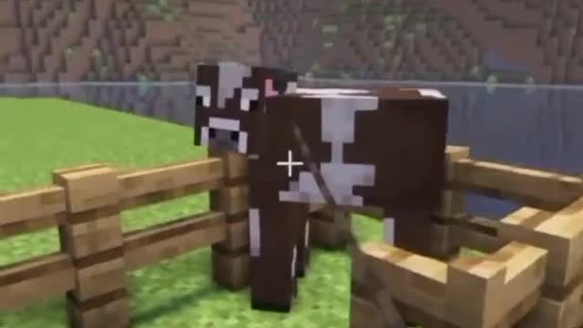 I'm going to kill a few cows today and save some beef.