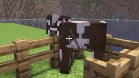 I'm going to kill a few cows today and save some beef.