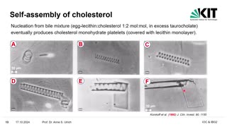 Self-Assembly of Cholesterol