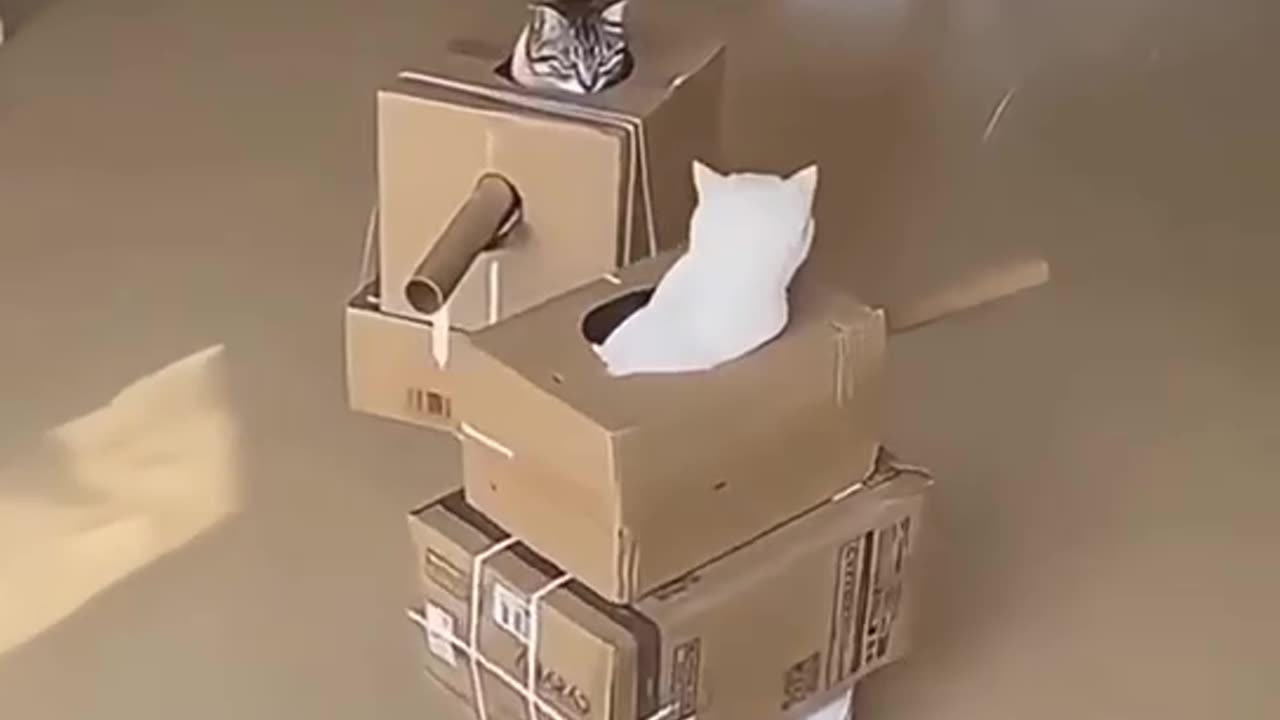 Cat commander epic tank battle