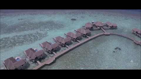 [Maldives Luxury Lifestyle] Billionaire's Luxury Vacation