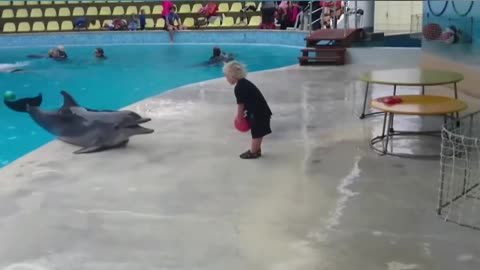 baby playing ball with an unbelievable dolphin