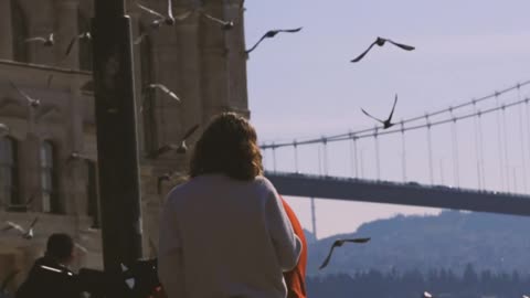 birds-flying-near-building