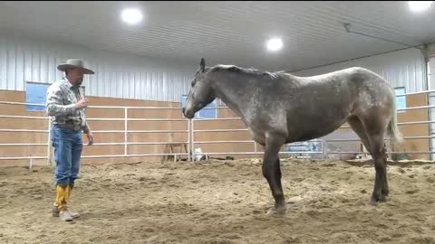 Ramon Castro Horsemanship_Missy_2022April27