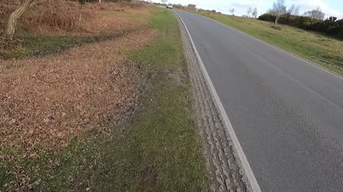 I think the wild shetland pony is following me. Fordingbridge. New forest. GoPro