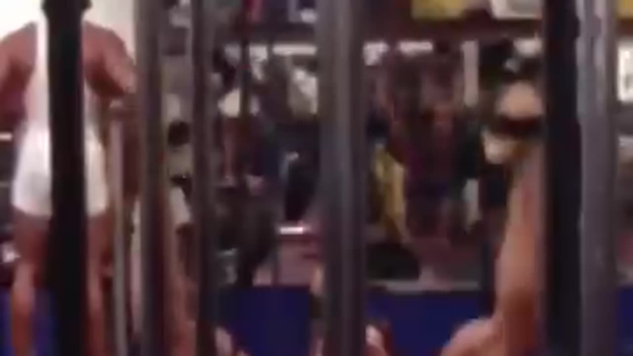 Arnold Schwarzenegger