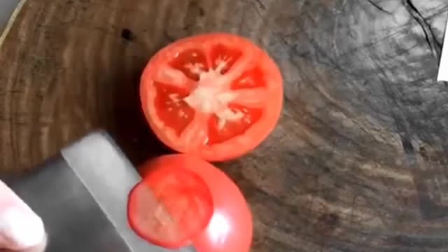 Best new tomato satisfying videos😍😍