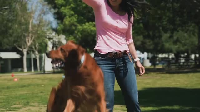 Dog dance
