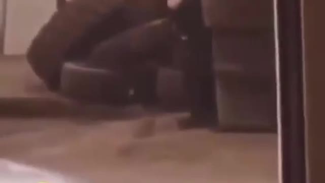 الببجي وافعالها