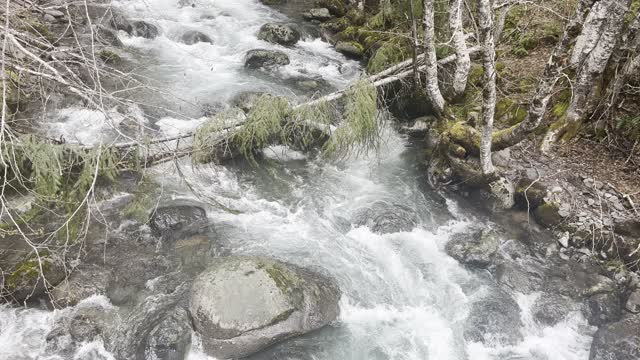 Calm & Rejuvenating Gale Creek – Kachess Lake Campground – Okanogan-Wenatchee – Washington – 4K