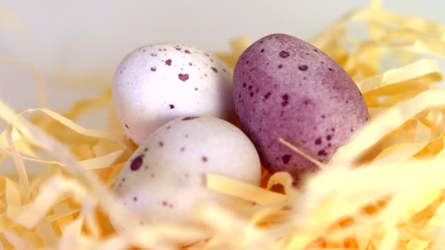 eggs with rainbow colors