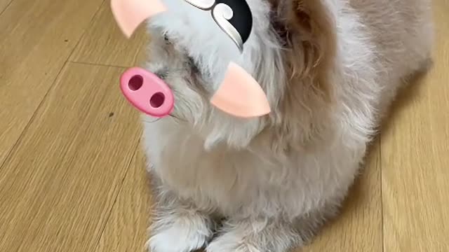 You always get fat when you come out