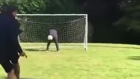 Zlatan Ibrahimovic ( Funny Moments )