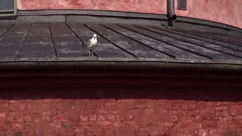 Landskrona 15 Juli 2017