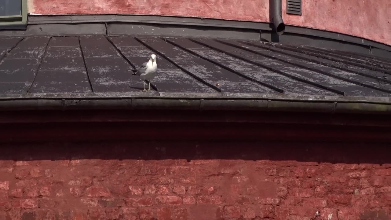 Landskrona 15 Juli 2017