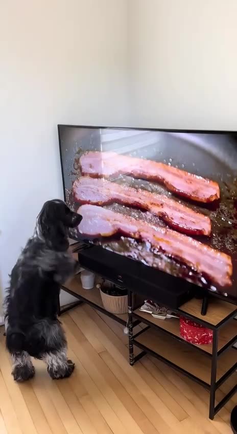 That’s some really tasty bacon 😊
