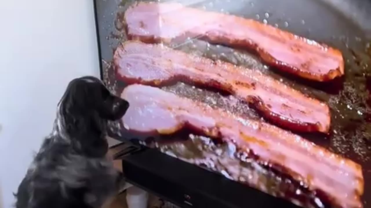 That’s some really tasty bacon 😊