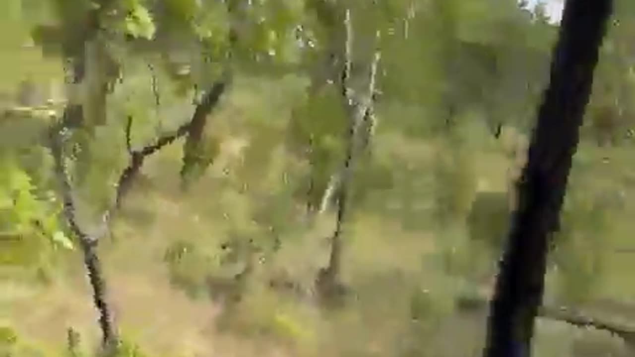 elephant charges and tips over tourists