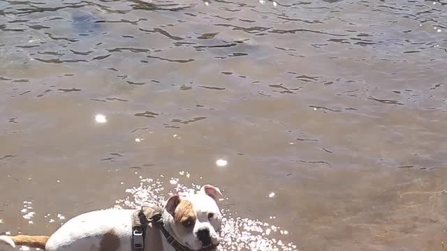 Lake time