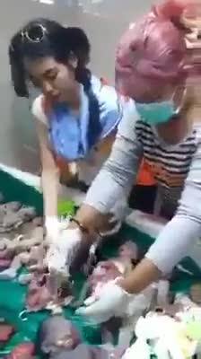 Graphic content warning!