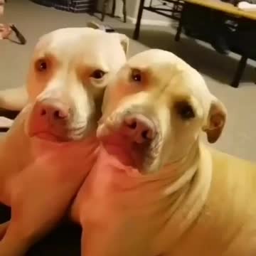 True friends since birth!!