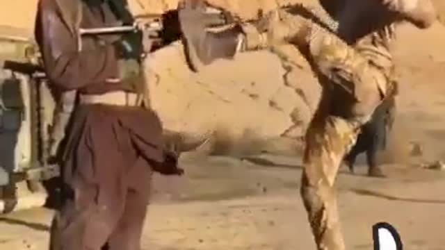 Amizng Army Turning
