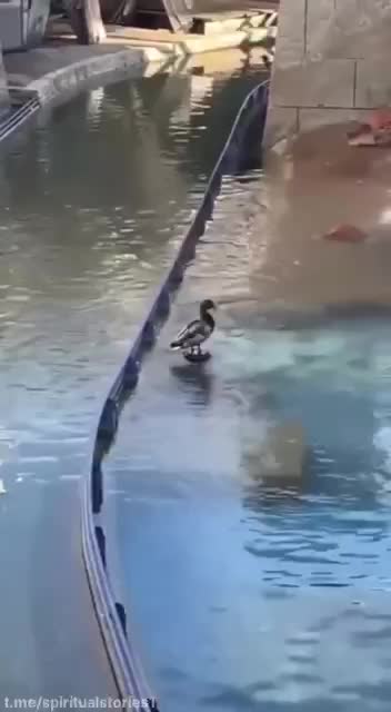 Always Be Prepared For The Unexpected...