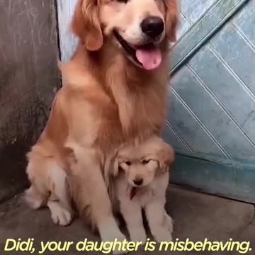 He loves his puppy so mush