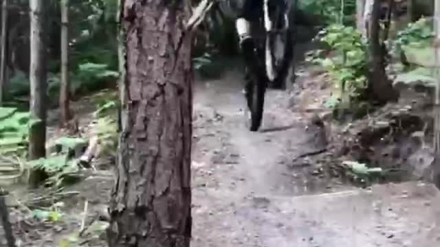 jungle bike