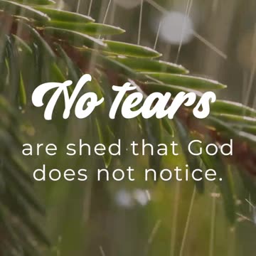 No Tears